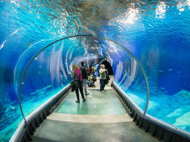 Afrykarium w zoo we Wrocławiu