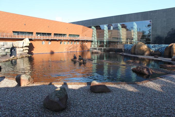 Afrykarium w zoo we Wrocławiu — Afrykarium w Zoo Wrocław