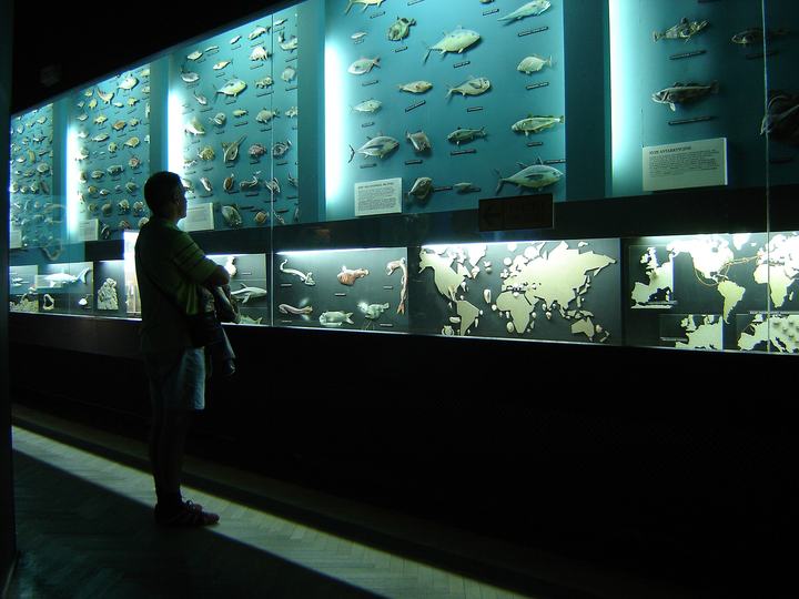 Akwarium Gdyńskie — Gdynia Aquarium