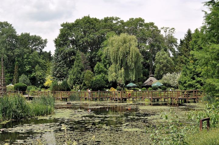 Arboretum w Bolestraszycach — Arboretum in Bolestraszyce