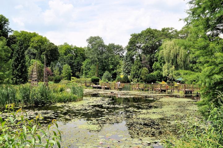 Arboretum w Bolestraszycach — Arboretum in Bolestraszyce