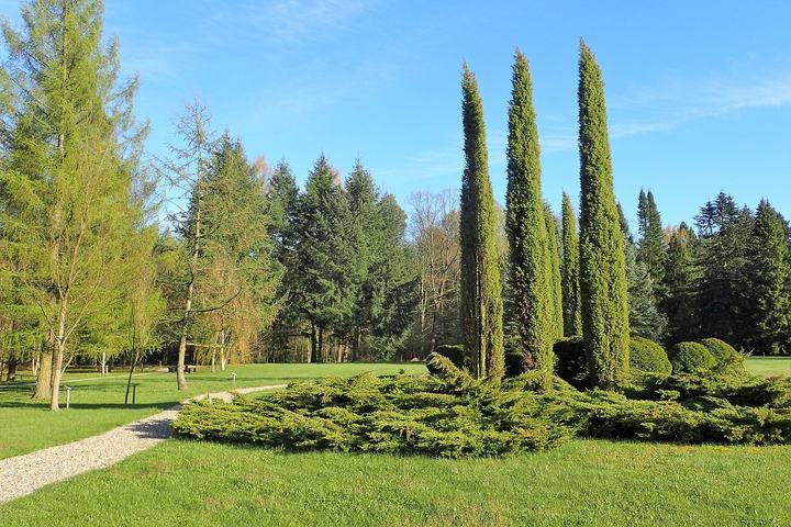 Arboretum Wirty — Arboretum Wirty