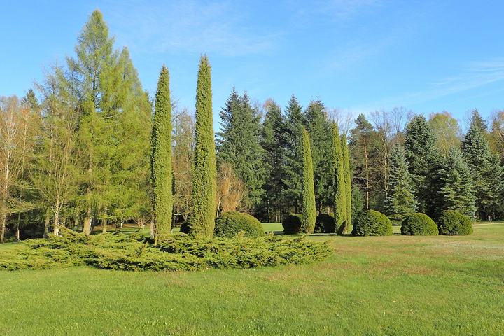 Arboretum Wirty — Arboretum Wirty