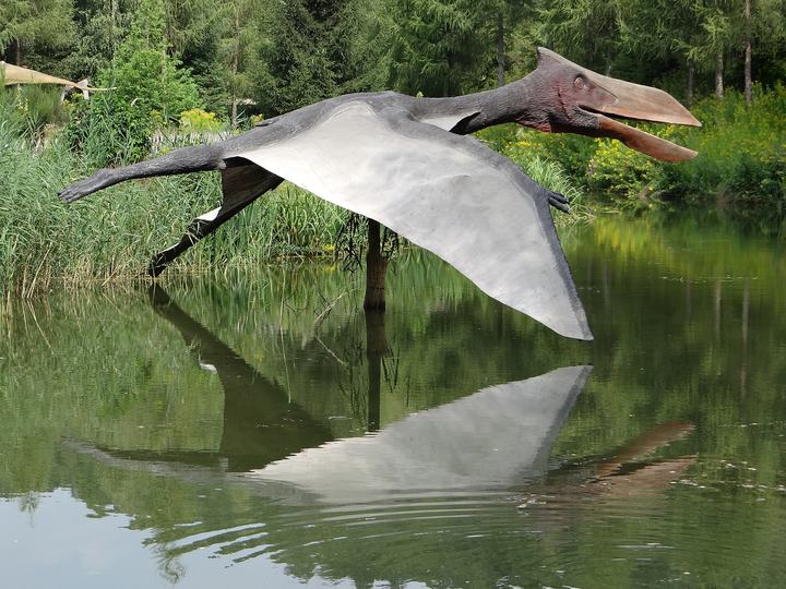 Bałtów — Bałtów Jurassic Park Poland