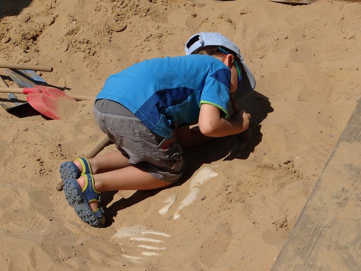 Bałtów — Bałtów Jurassic Park Poland