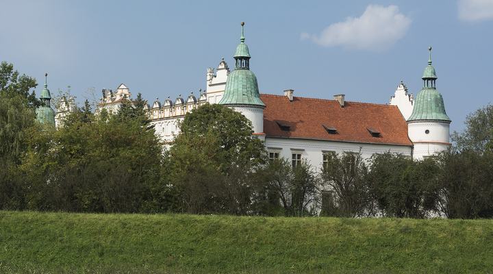Baranów Sandomierski — Baranów Sandomierski Castle