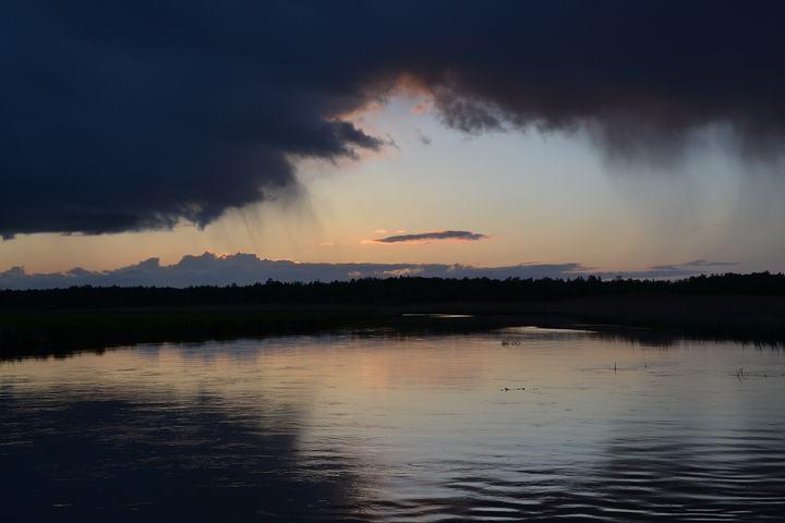 Biebrzański Park Narodowy — This is a photograph of a Natura 2000 protected area with ID