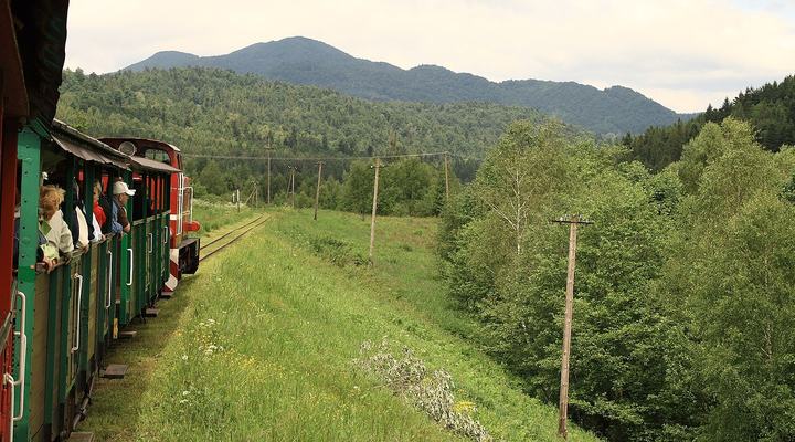 Bieszczadzka Kolejka Leśna z Majdanu — Bieszczady Forest Railway