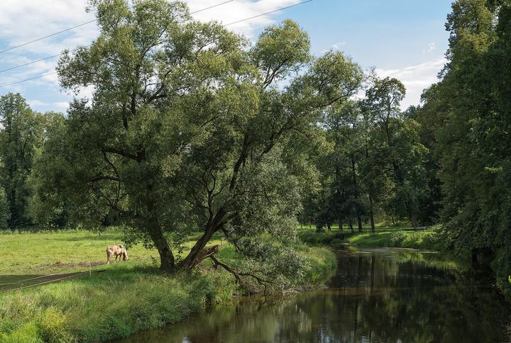 Bóbr – kajakiem przez Dolny Śląsk