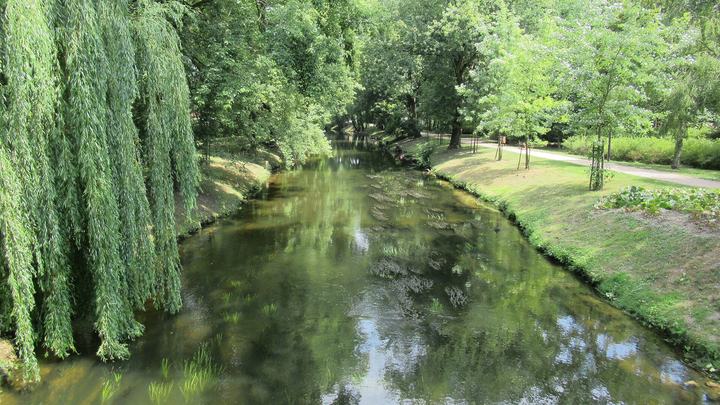 Bolimów – Rawka i park krajobrazowy