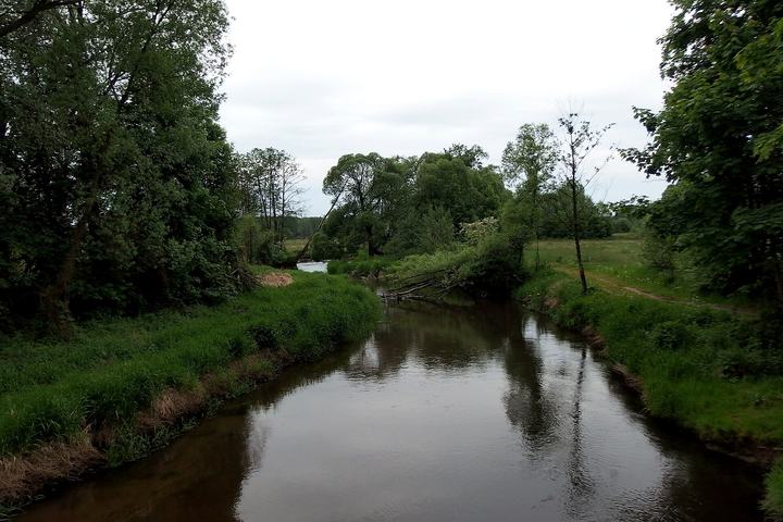 Bolimów — Rawka river in Doleck