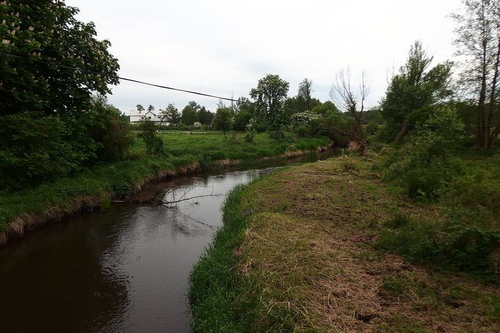 Bolimów — Rawka river in Doleck