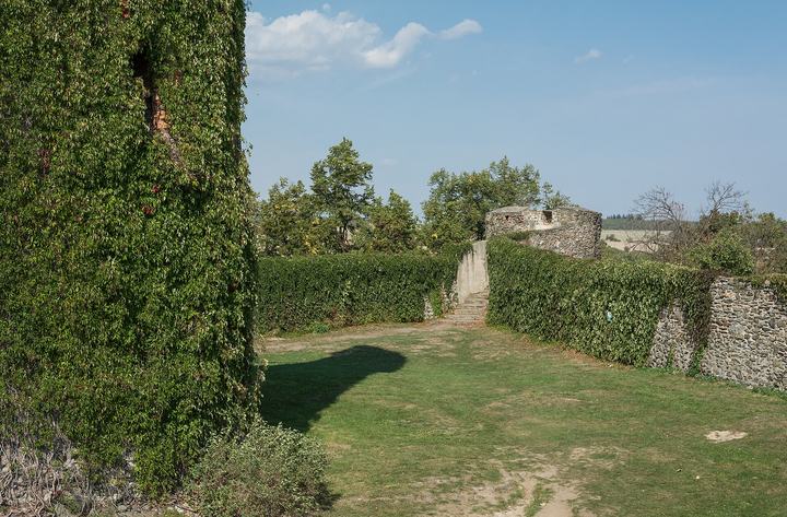Bolków — Bolków Castle