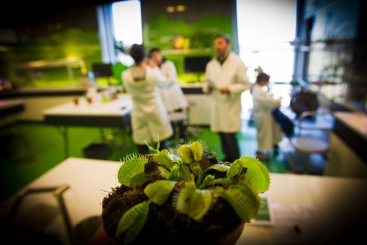 Centrum Nauki Kopernik w Warszawie — Muchołówka amerykańska w laboratorium biologicznym, Centrum Nauki Kopernik, fot. Robert Ko
