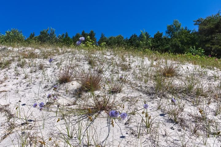 Chałupy – kitesurfing i Zatoka Pucka