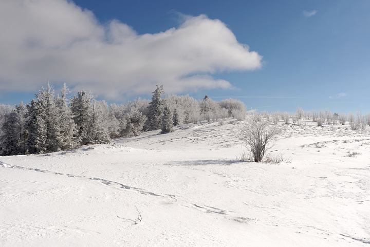 Ćwilin — Ćwilin peak, Island Beskids