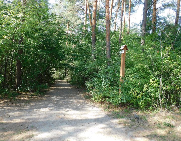 Czartowe Pole — Wejście do rezerwatu Czartowe Pole w Oseredku