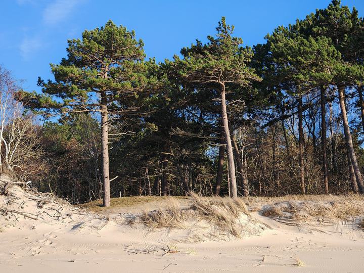 Dąbki — Beach of Dąbki