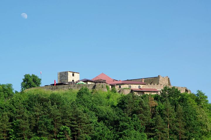 Dobczyce — Dobczyce Castle
