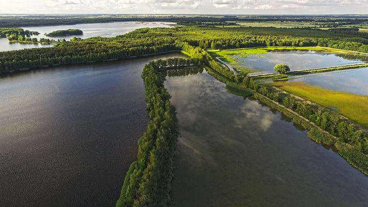 Dolina Baryczy rowerem — Zdjęcie przedstawia panoramę na stawy milickie z lotu dronem.