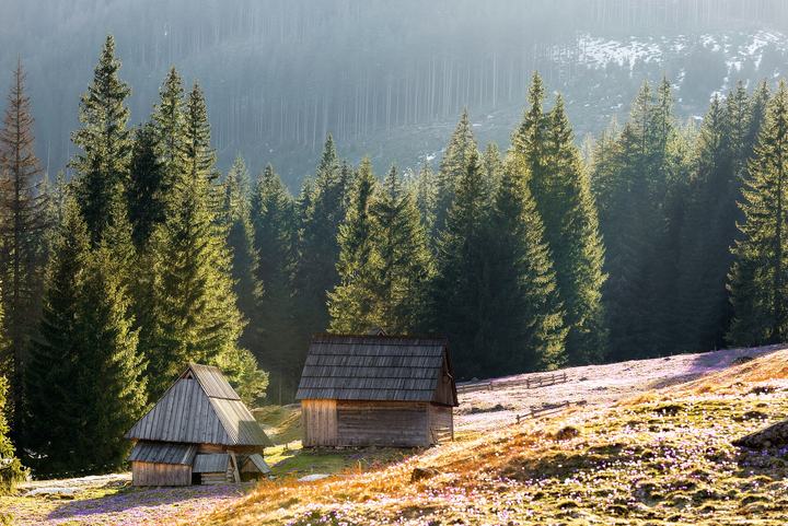 Dolina Chochołowska — This is a photography of protected area with CRFOP ID