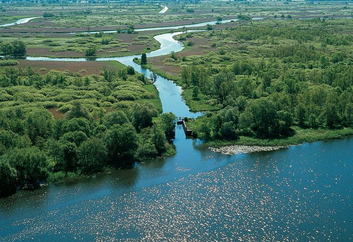 Dolina Dolnej Odry – park krajobrazowy