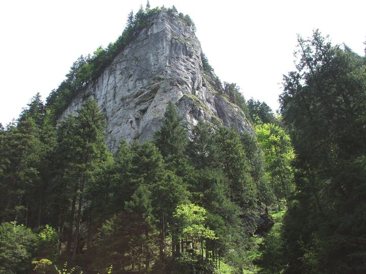 Dolina Kościeliska i Jaskinia Mroźna