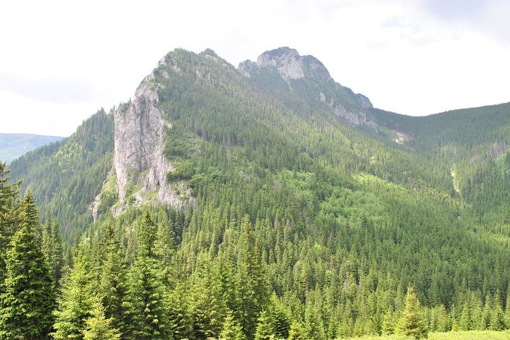 Dolina Kościeliska i Jaskinia Mroźna — Tatry. Dolina Kościeliska - widok ogólny