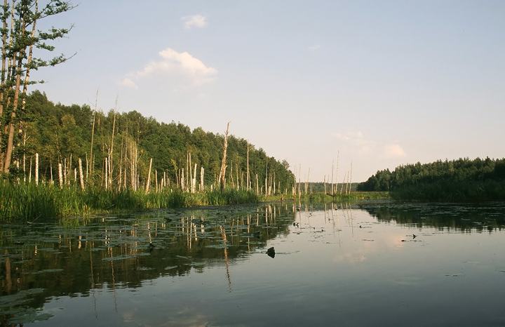 Dolina Rospudy – kajaki i dzika przyroda