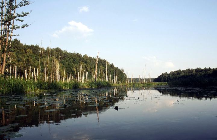 Dolina Rospudy — Fixed version of Image:Rospuda river1.jpg