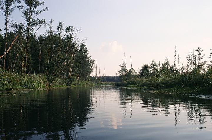 Dolina Rospudy — Rospuda river between lakes: Sumowo and Okragle, near Kotowina village, Suwalszczyzna regi