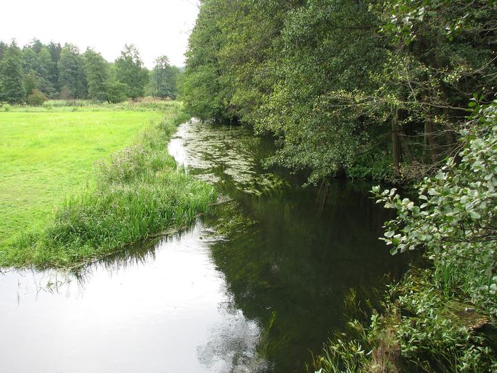 Dolina Rospudy — Rospuda river, Suwalszczyzna region, north-east Poland