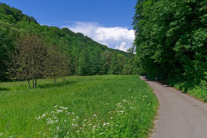 Dolinki Krakowskie – Będkowska i Kobylańska