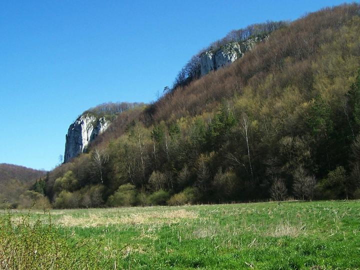 Dolinki Krakowskie — Dolina Będkowska (Park Krajobrazowy Dolinki Krakowskie)