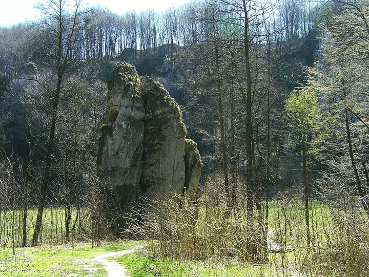 Dolinki Krakowskie — Dolina Będkowska (Park Krajobrazowy Dolinki Krakowskie)