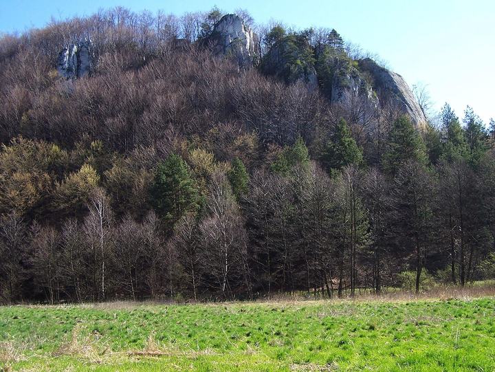 Dolinki Krakowskie — Dolina Będkowska (Park Krajobrazowy Dolinki Krakowskie)