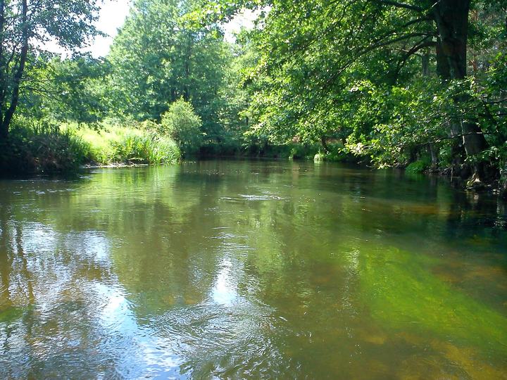 Drawieński Park Narodowy – spływ Drawą