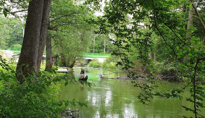 Drawieński Park Narodowy — Rzeka Drawa z mostem w Drawnie