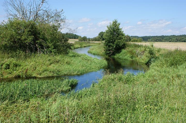 Drawieński Park Narodowy — Drawa river West from Darskowo (Złocieniec commune, NW Poland)
