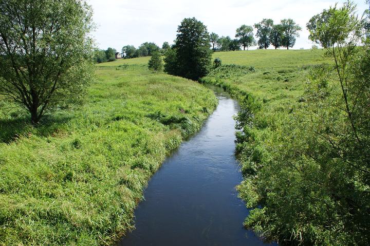 Drawieński Park Narodowy — Drawa river West from bridge between Darskowo and Rzęśnica (Złocieniec commune, NW Poland)
