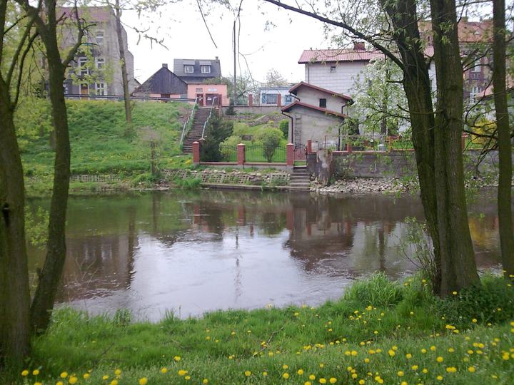 Drwęca — Rzeka Drwęca