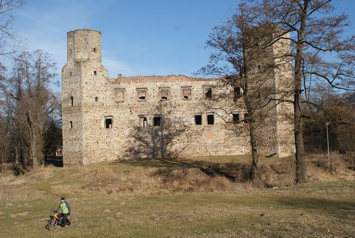 Drzewica – ruiny zamku