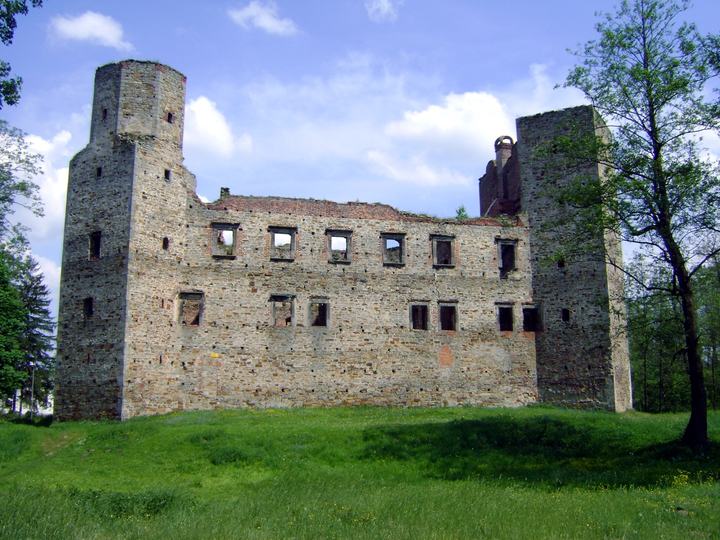 Drzewica — Zamek w Drzewicy (zabytek nr rejestr. 47/A)