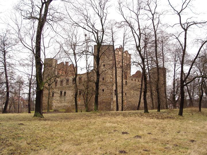 Drzewica — Zamek w Drzewicy,nad rzeką Drzewiczką, widok od południowo zachodniej, od strony do Koński