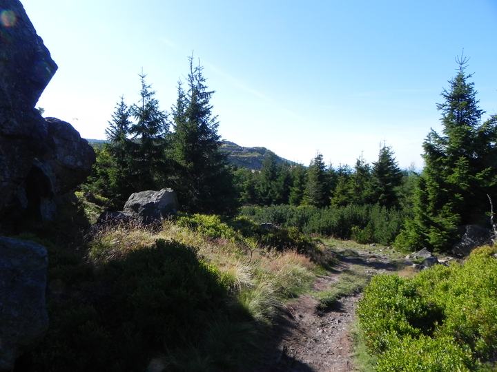 Główny Szlak Sudecki — Główny Szlak Sudecki