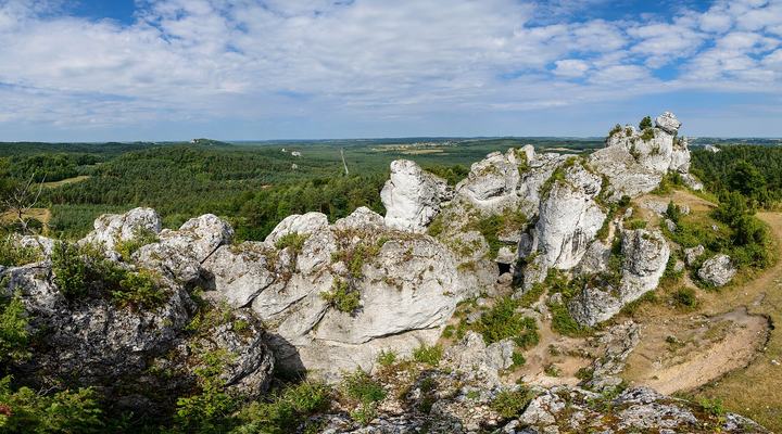 Góra Zborów – rezerwat w Podlesicach