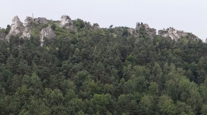 Góra Zborów — Widok na Górę Zborów ze skał Kołaczyka