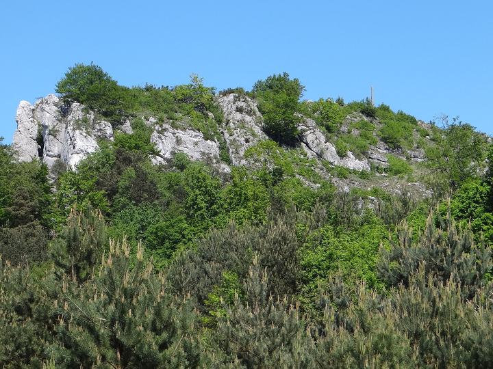 Góra Zborów — Formy skałkowe na Górze Zborów