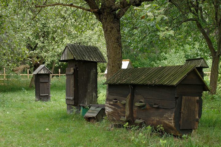 Górnośląski Park Etnograficzny w Chorzowie