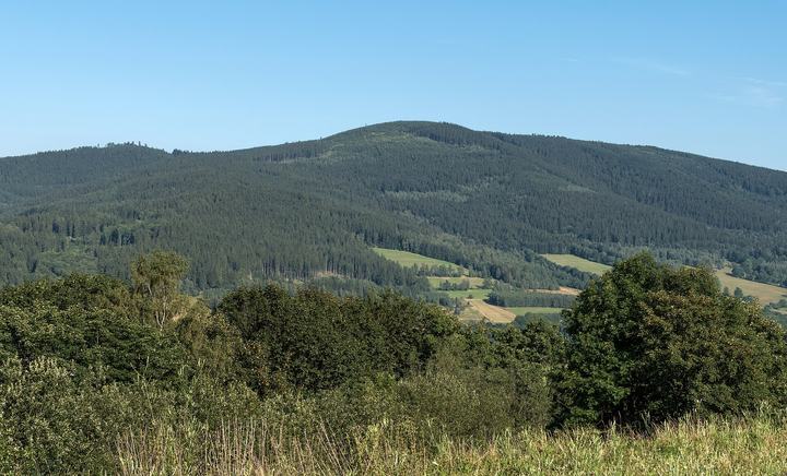 Góry Bialskie — Suszyca, Bialskie Mountains, Sudetes